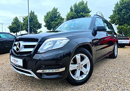 Mercedes-Benz GLK 220 CDI 4Matic / Leder / SHZ / Navi / AHK