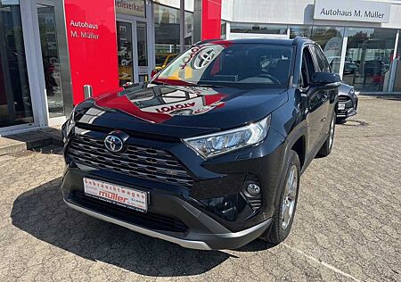 Toyota RAV 4 RAV4 Hybrid, 2.5 L, 4x2, Team D, SHZ, LED
