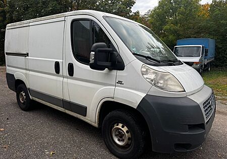 Fiat Ducato Kastenwagen ohne Klima, ohne TÜV export