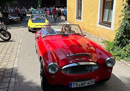 Austin Healey Rennwagen Strassenzulassung FIA