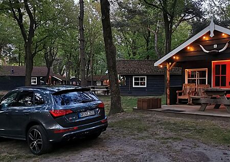 Audi SQ5 TFSI Competition V6 Kompressor Rautensitze