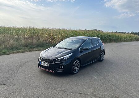 Kia Cee'd / Ceed 1.6 T-GDI GT-Track GT-Track