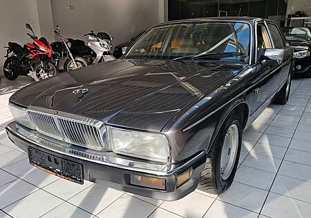 Jaguar XJ40 Daimler/Guter zustand/Schiebedach