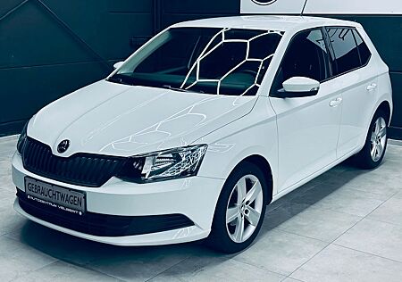 Skoda Fabia Cool Edition 1.2 90PS Einparkhi. GARANTIE