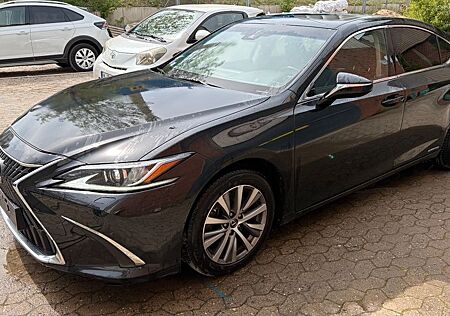 Lexus ES 300 300h Business Line Automatik Business...
