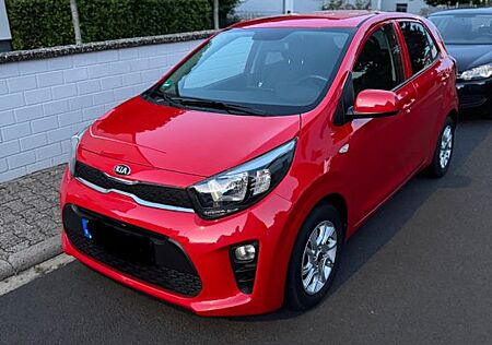 Kia Picanto 1.2 Dream-Team Edition wenig Kilometer