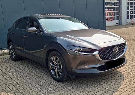 Mazda CX-3 CX-30 Selection 360Kamera Leder Panorama ACC