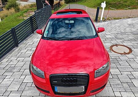 Audi A3 2.0 TDI (DPF) quattro Standheizung Klima HU27