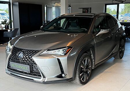 Lexus UX 250 h Netto:€17.083