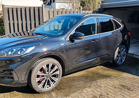 Ford Puma Kuga FHEV 4x4 ST-LINE X TOP AUSSTATTUNG