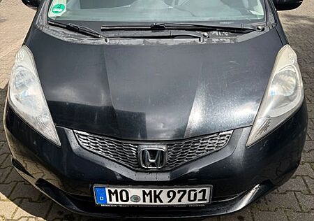 Honda Jazz 1.2 zuverlässig und sparsam