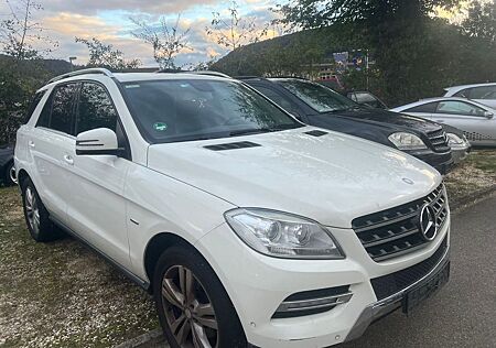 Mercedes-Benz ML 250 ML -Klasse CDI BlueTec