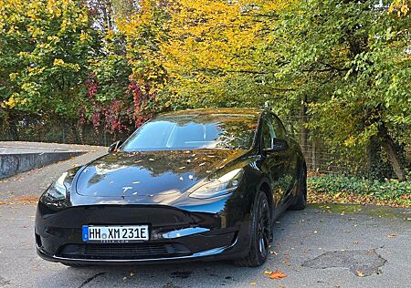 Tesla Model Y Hinterradantrieb SR