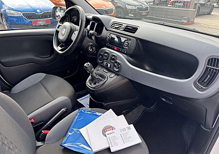 Fiat Panda TÜV AU NEU*KLIMA*USB*ISOFIX*EURO6*