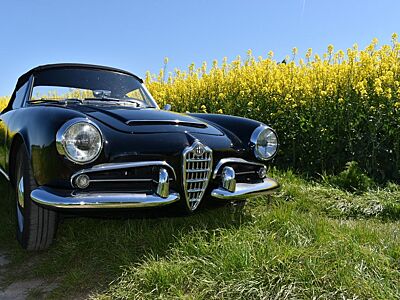 Alfa Romeo Giulia Spider 1600 Typ 101.23 restauriert