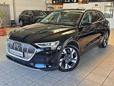 Audi e-tron 55 quattro advanced NIGHT MATRIX LEDER 20
