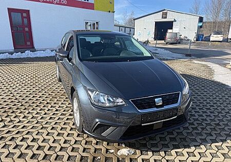 Seat Ibiza Style