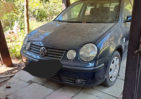 VW Polo Volkswagen