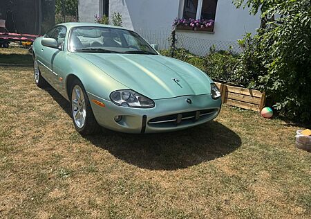 Jaguar XK8 Coupe