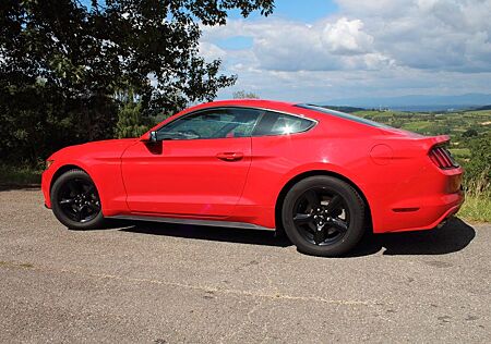 Ford Mustang V6, Automatik + Leder (privat)