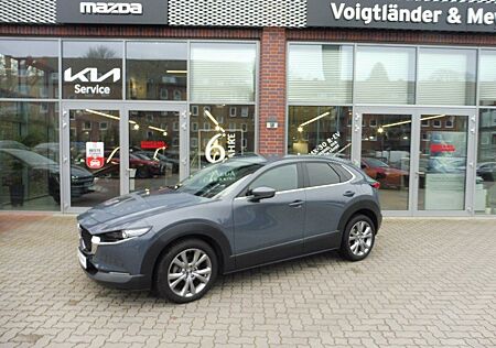 Mazda CX-30 Selection Autom. AHK Active- u. Design Pa