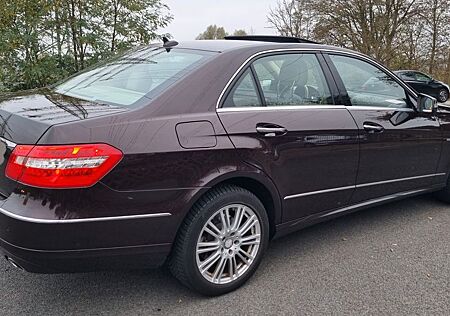 Mercedes-Benz E 350 CDI 4MATIC BlueEFFICIENCY AVANTG. AVAN...