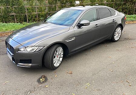 Jaguar XF 30d 300PS Prestige Automatik Prestige