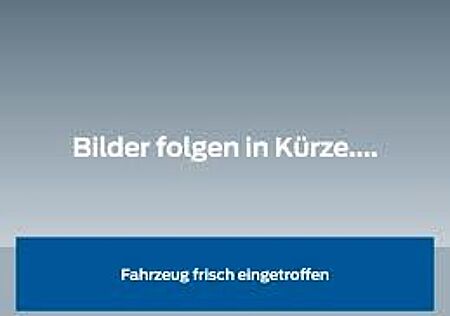 VW T-Roc Volkswagen Sport 4Motion DSG LED Standheizung