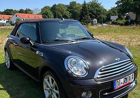 Mini Cooper Cabrio Highgate Highgate