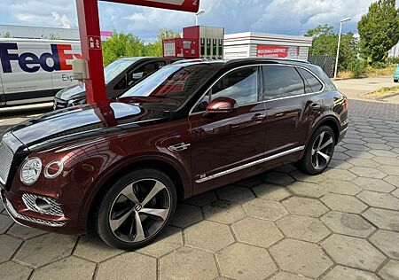 Bentley Bentayga 4.0 V8 4WD Autom. Two Tone, Garantie!