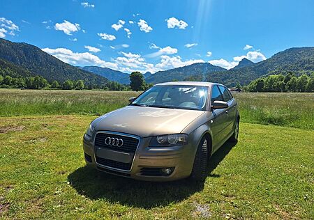 Audi A3 1.6 /S3 Typ 8P Sportsback Benzin