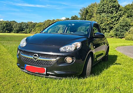 Opel Adam JAM 1.2 134 tKm EZ 03/2014