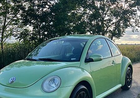 VW Beetle Volkswagen