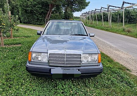 Mercedes-Benz 200 D / H Kennzeichen