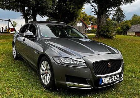Jaguar XF E-Performace 163PS Portfolio Automatik Po...