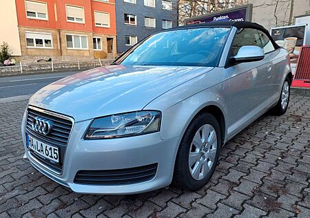 Audi A3 Cabriolet 2.0 TDI DPF Ambition