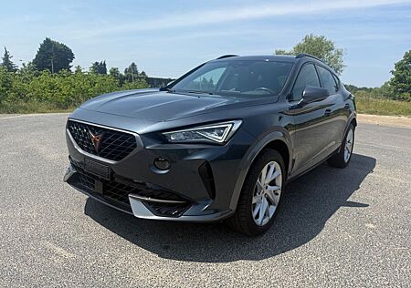 Cupra Formentor Basis