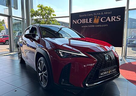 Lexus UX 250 h F Sport HUD LED NAV RFK SHZ ALU