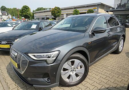 Audi e-tron 55 quattro *PANO *LEDER *MATRIX *AHK
