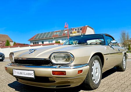 Jaguar XJS 4.0 Cabrio Sonderm. CELEBRATION 91.180KM