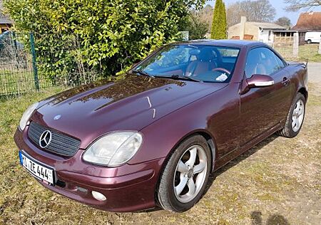 Mercedes-Benz SLK 320 - Cabrio, Sondermodell Designo PURPUR