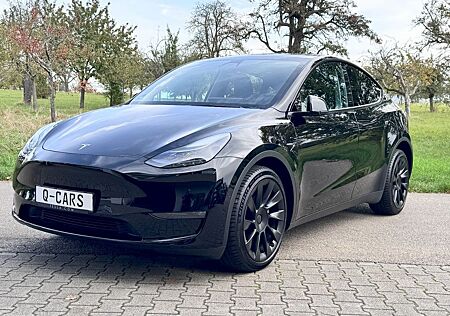 Tesla Model Y Long Range Dual Motor AWD 20" PDC