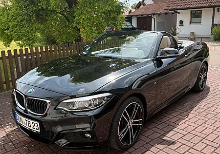 BMW 220i Cabrio - Vollausstattung - 8-fach bereift