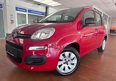 Fiat Panda Pop*Klima*Top gepflegt