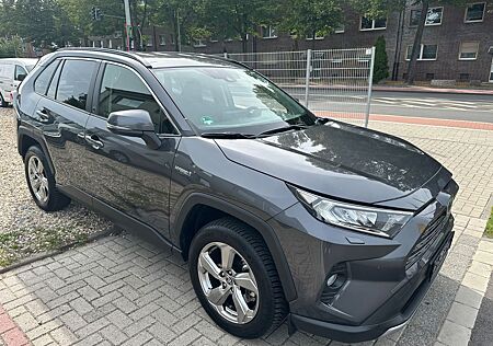 Toyota RAV 4 RAV4 Hybrid Team Deutschland Totwik. Nur 9700 KM