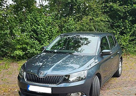 Skoda Fabia 1.0l TSI 70kW Ambition Ambition