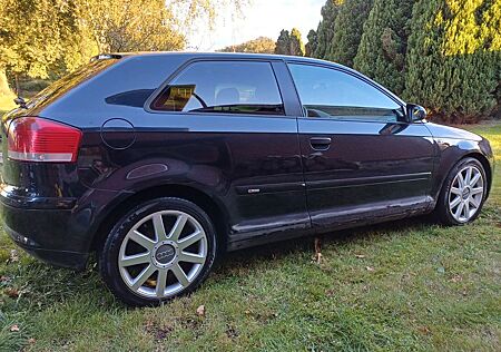 Audi A3 1.6 S line Sportpaket plus, TÜV bis 02/26