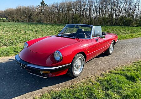 Alfa Romeo Spider gebraucht kaufen Alfa Romeo Spider