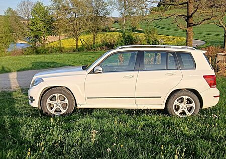 Mercedes-Benz GLK 250 BlueTEC 4MATIC -