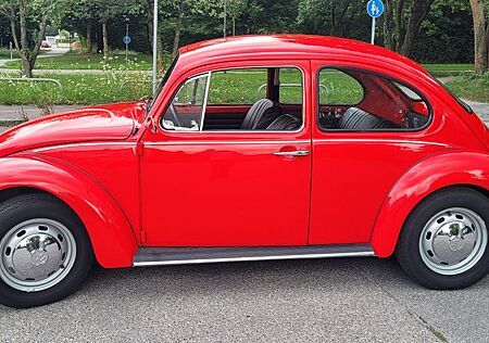 VW Käfer Volkswagen
